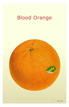 Blood Orange