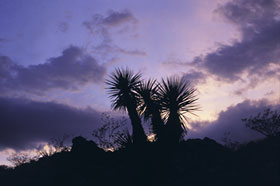 El Paso, Texas