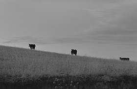 Pine Ridge, South Dakota