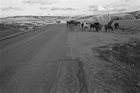 Wounded Knee, South Dakota